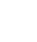 vertical bold lines