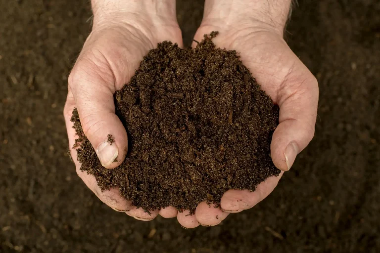 vermicompost-behcam