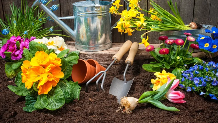 gardening-with-potting-soil