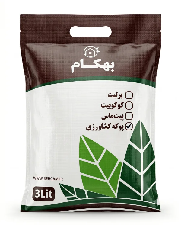 pumice-3lit-behcam