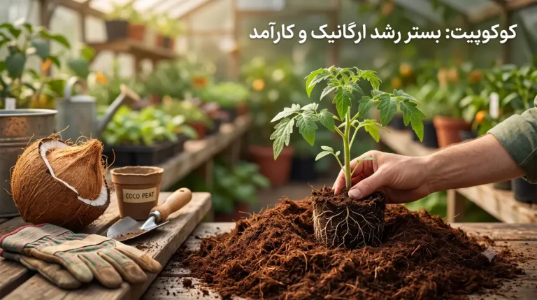 کوکوپیت چیست و چه کاربردی در کشاورزی و گلخانه دارد؟