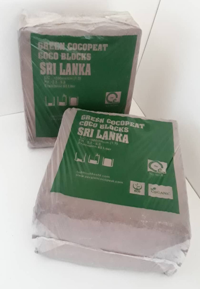 کوکوپیت قالبی بهکام